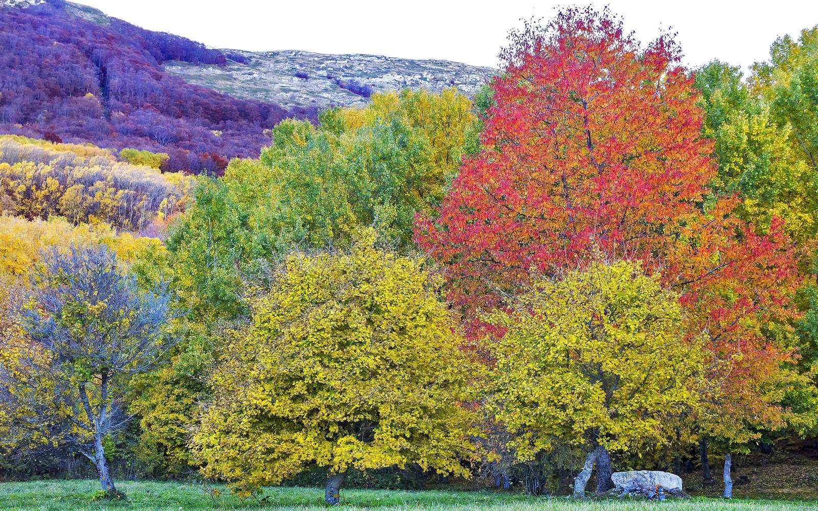 I colori dell’autunno nel Parco Sirente-Velino